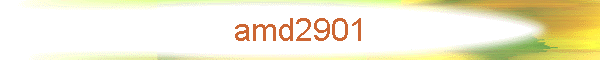 amd2901